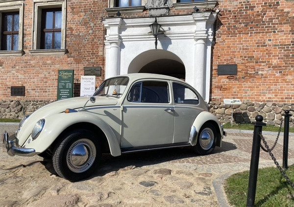 Volkswagen Garbus cena 42000 przebieg: 37500, rok produkcji 1964 z Uniejów małe 254